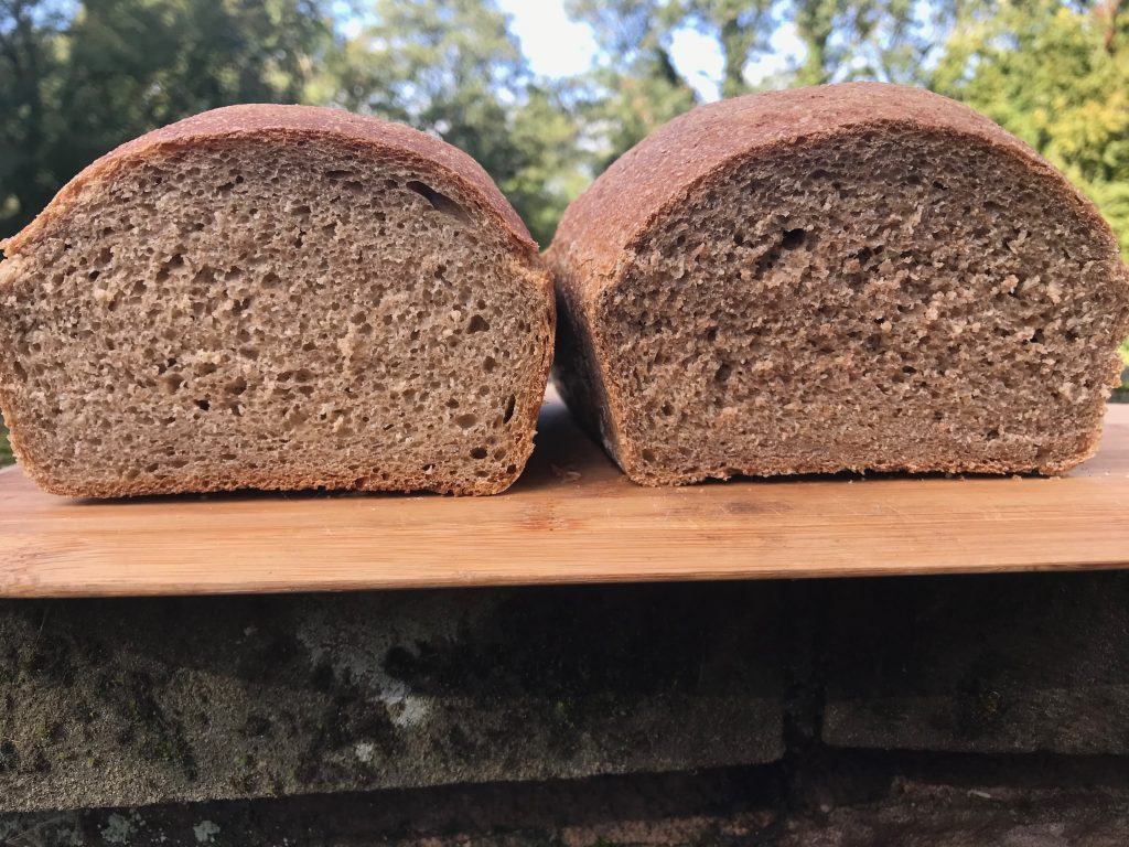 Montana freshly milled yeasted loaves